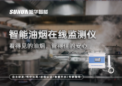智能油烟在线监测仪：看得见的油烟，管得住的安心